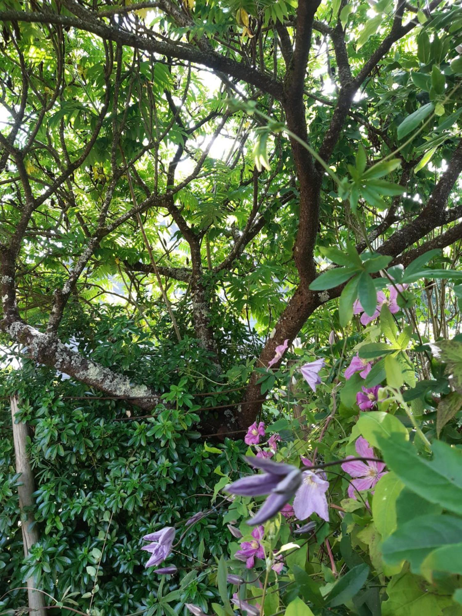 La Maison Paisible Guéméné-Penfao Esterno foto